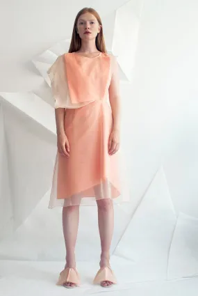 Asymmetric Layer Wing Dress