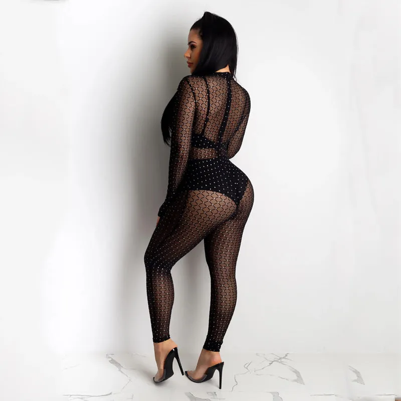 Black Long Sleeves Bodycon Mesh Skinny Sheer Jumpsuits