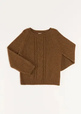 Chunky Cable Knit Crew Neck Jumper in Brown (4-10yrs)