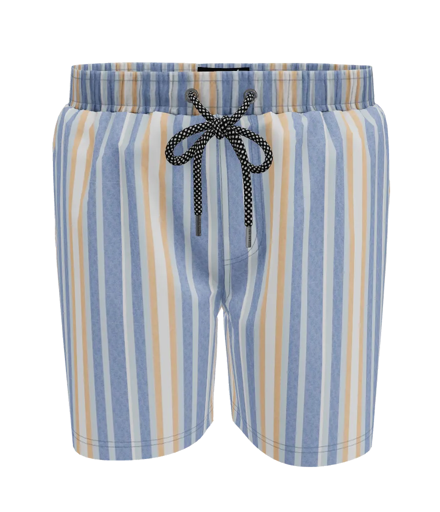 Pool Shorts _ 150452 _ Blue