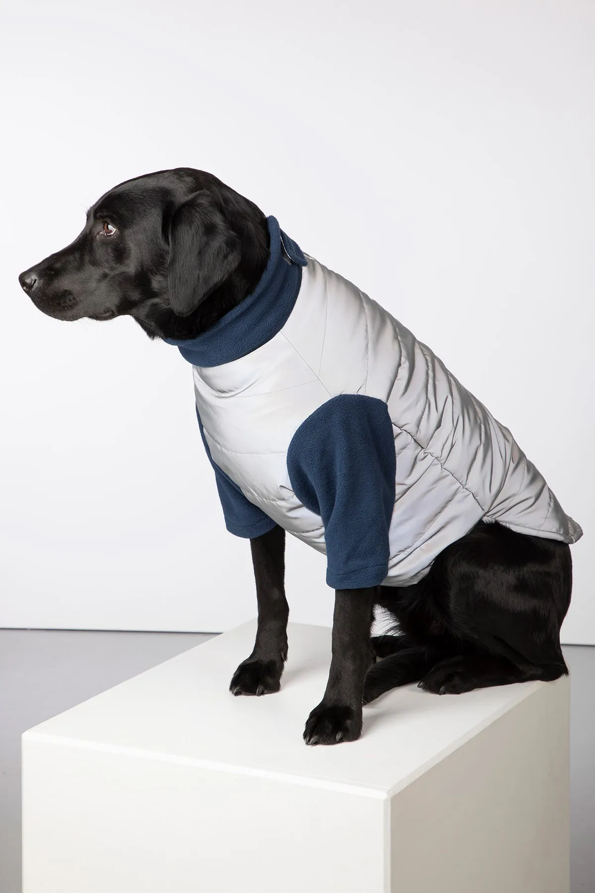 Reflective Dog Jumper - Muston