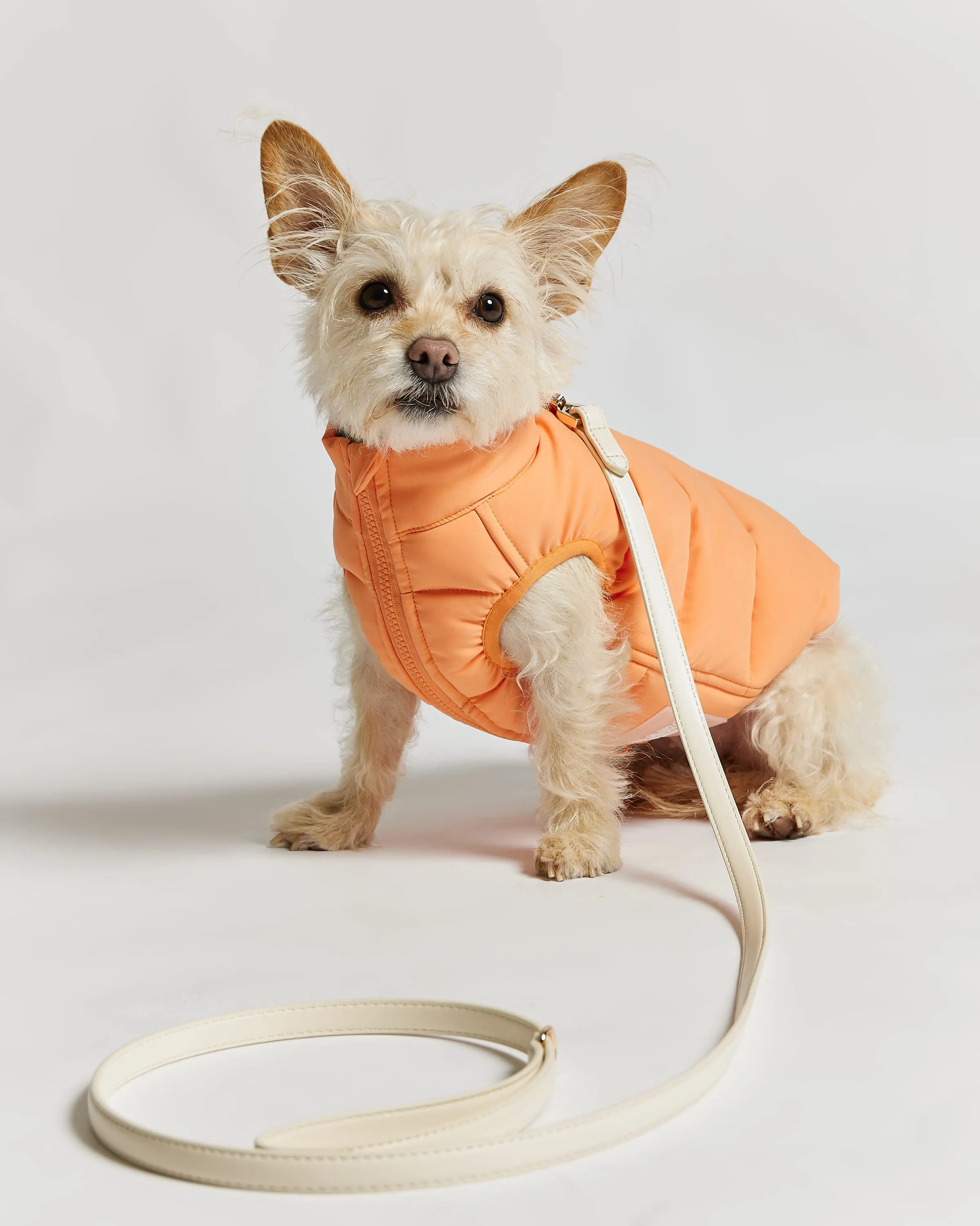 Reversible Dog Puffer Jacket: Coral & Khaki Green